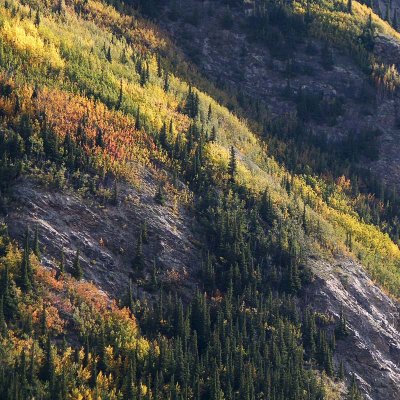 En route vers le parc Denali / On the way to the Denali Park