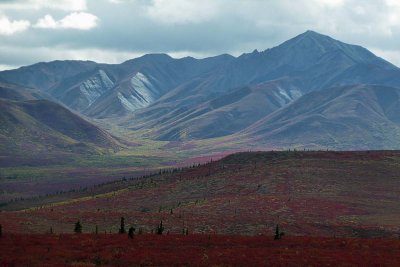 Parc Denali /  Denali Park