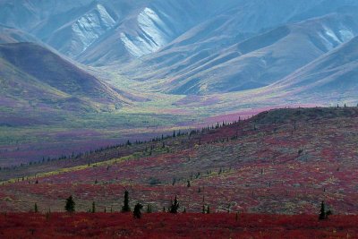 Parc Denali /  Denali Park