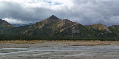 Parc Denali /  Denali Park