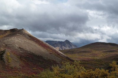 Parc Denali /  Denali Park