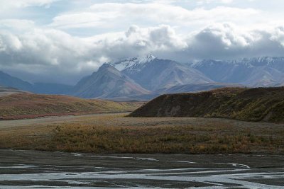 Parc Denali /  Denali Park