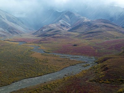 Parc Denali /  Denali Park
