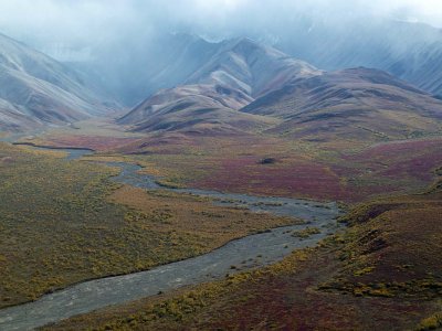 Parc Denali /  Denali Park