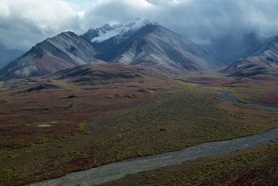 Parc Denali /  Denali Park