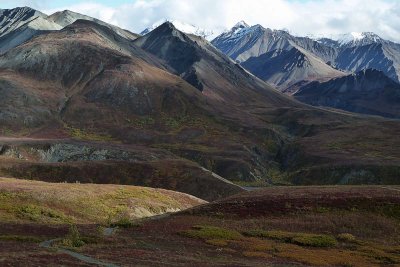 Parc Denali /  Denali Park