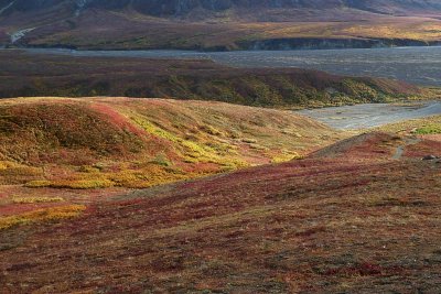 Parc Denali /  Denali Park