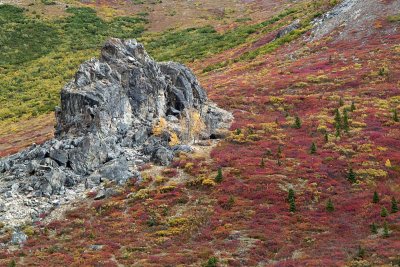 Alaska-Yukon, jour / day 12