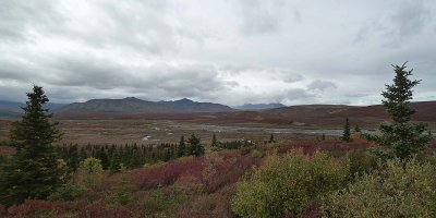 Parc Denali / Denali Park