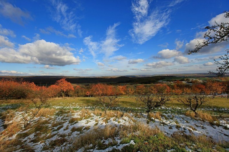 Snow in  Autumn