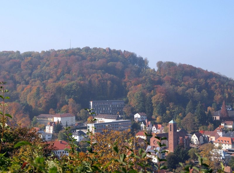 Landstuhl View 