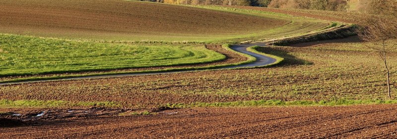 November Fields