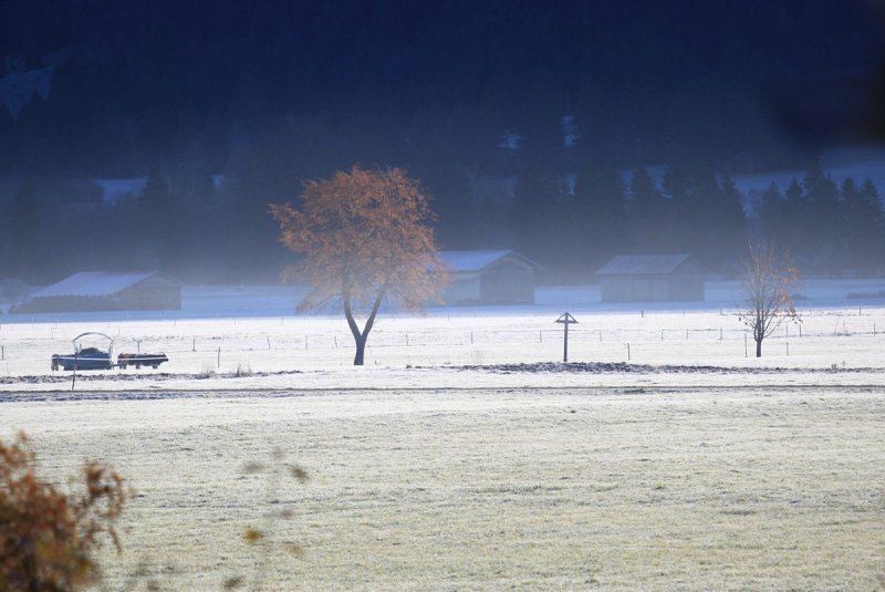 Frosty Morning in Bavaria