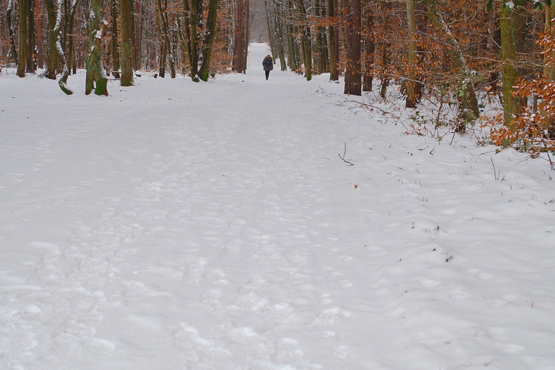 Crunchy Snow