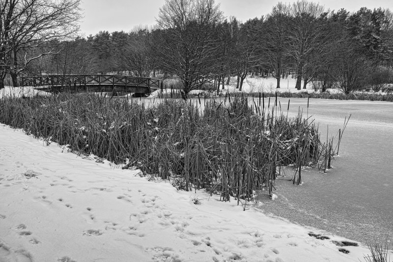 Bridge over the Lake