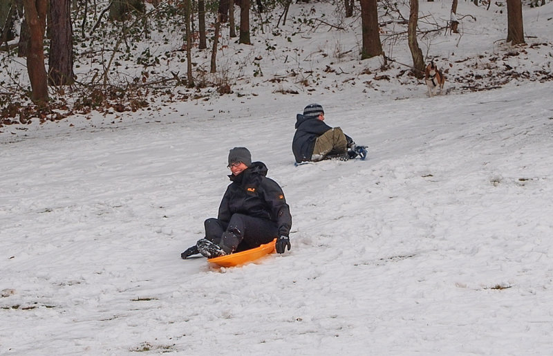 Fun in the Snow