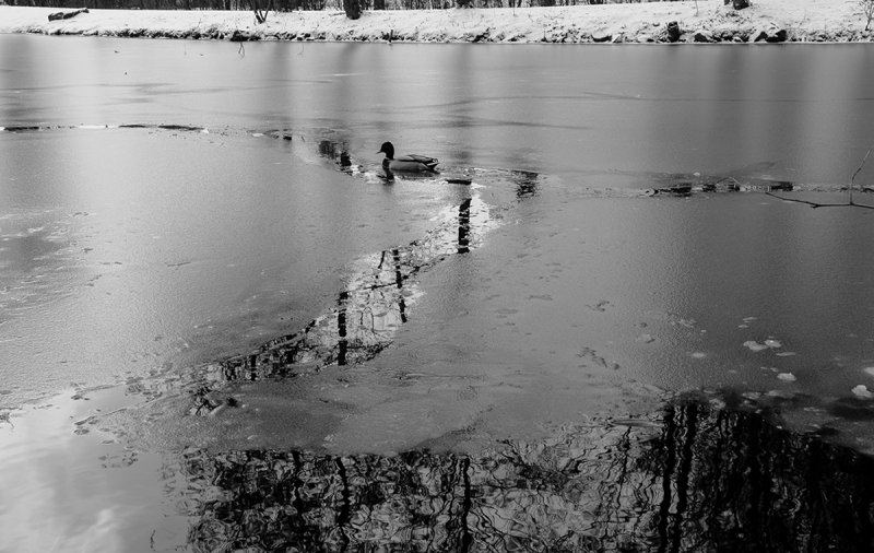 Swimming Through Ice