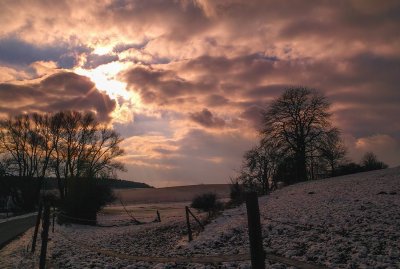 Winter Walk