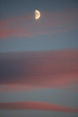 Lunar Sunset