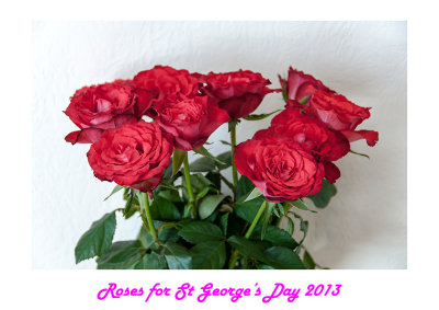 Roses for St Georges Day 2013