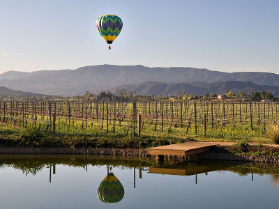 Balloon Over the Wine Fields