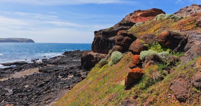 Cape Schanck