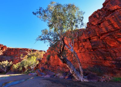 Trephina Gorge