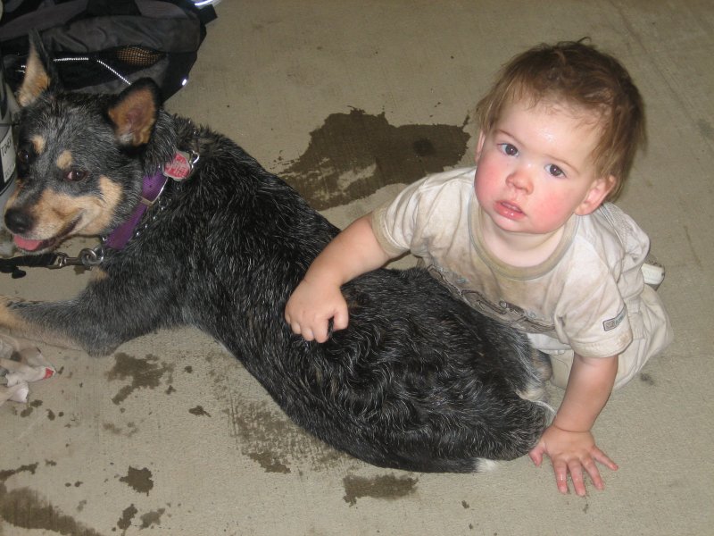 ultra dog & baby