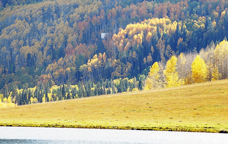 081_USA_Fall.jpg