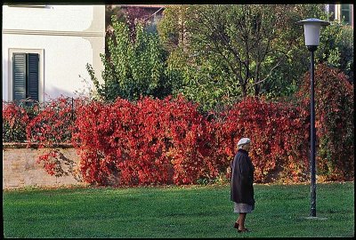 Autumn in the park.