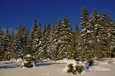 La réserve faunique des Laurentides