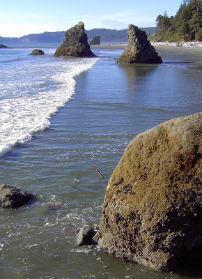 Ruby Beach Vertical