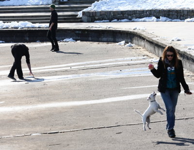 People and dog