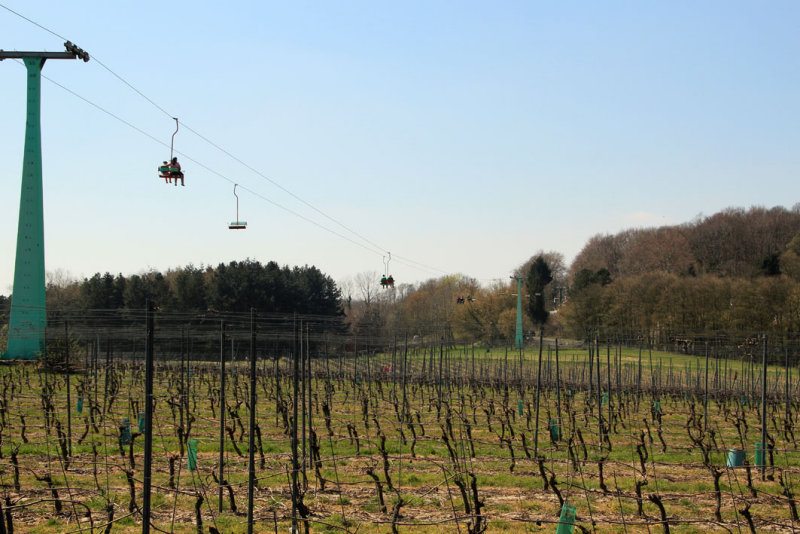 Westouter - Rodeberg