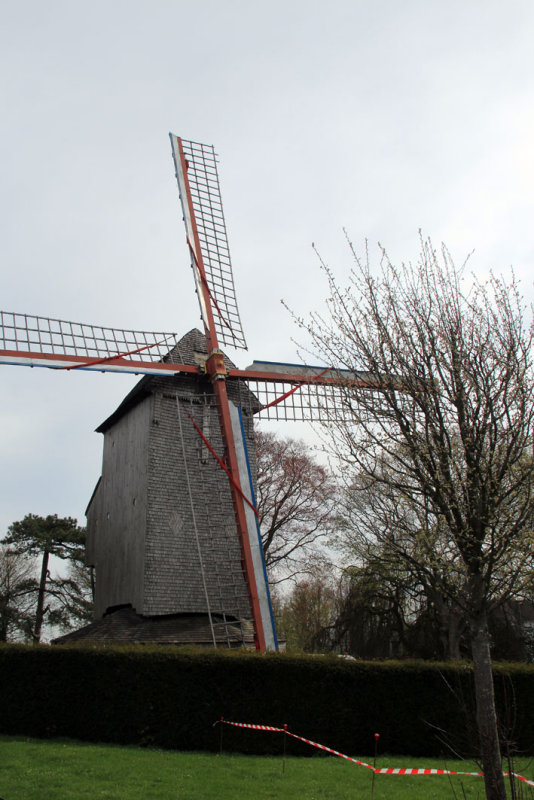 Cassel