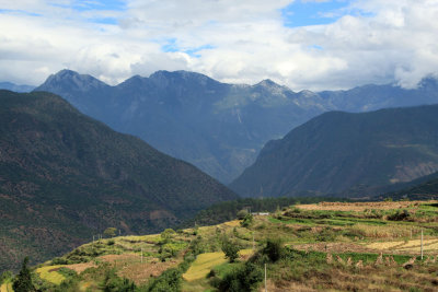 g2/81/81981/3/147083514.YQ0sUti0.jpg