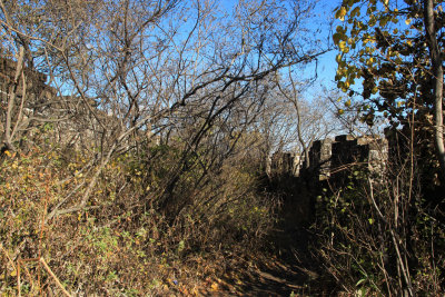 Great Wall at Mutianyu