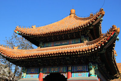 Lama Temple