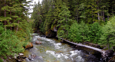 Bish Creek 