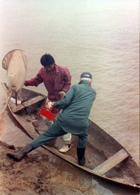 John Robert Thomson collecting spiders on the Amazon River
