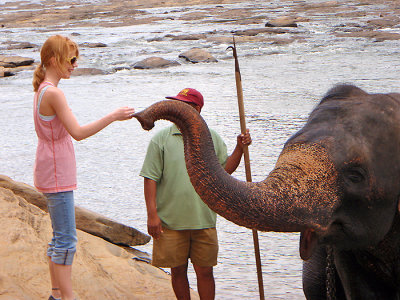 Jordan Lee Thomson meets Elephant in Sri Lanka