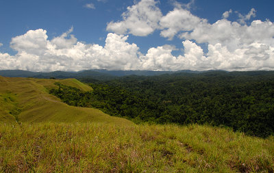 Guadalcanal Ridge Solomon Islands