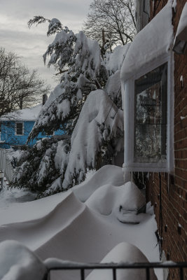 Storm Nemo (where are the grill and cans?)