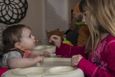1st Birthday Party
