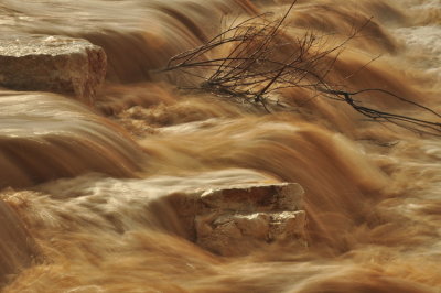 Flow streams after the rain in Beer Sheva(2