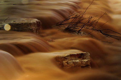Flow streams after the rain in Beer Sheva(4)