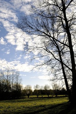 20121103-027a.JPG