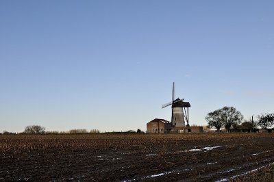 Ninove-Denderwindeke - Molen ter 7 wegen