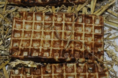 20100220-Wafelbak