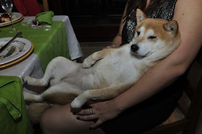 Zita after the X-mas dinner